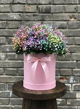 Цветочная композиция из Гипсофила и Розы в шляпной коробке в Новосысоевке
