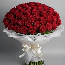 Букет 101 Красная роза Блэк Мэджик в Новосысоевке