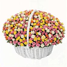 Премиум букет из: Розы в Новосысоевке