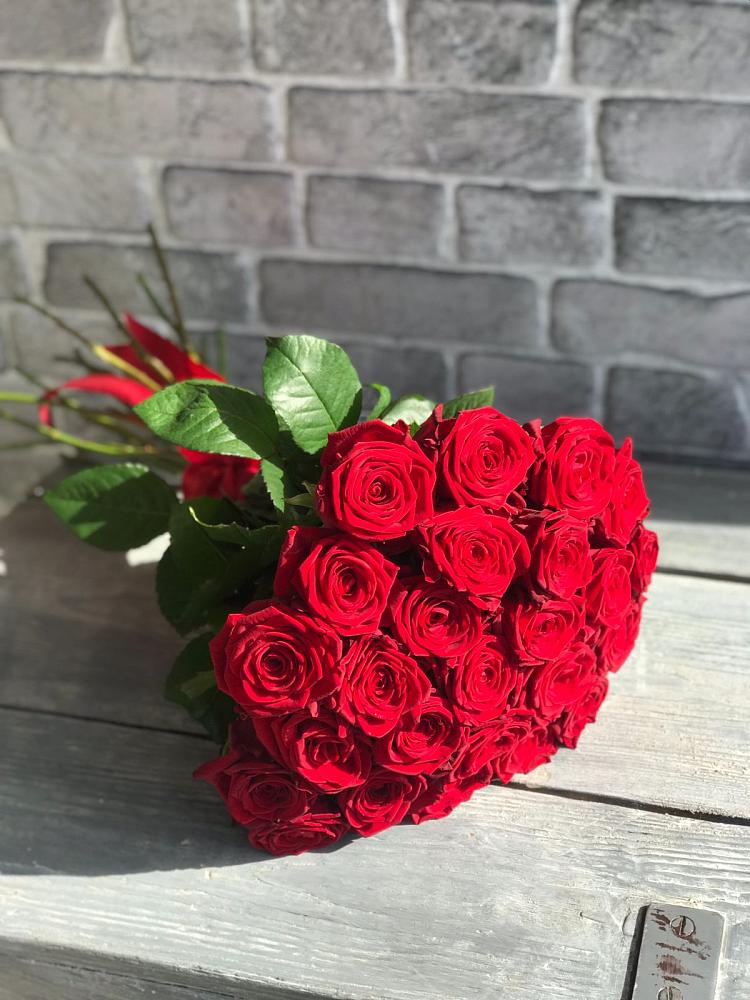 Букет Красные розы Фридом в Новосысоевке