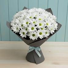 Букет цветов из:  Хризантемы в Новосысоевке