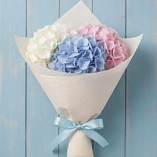 Букет цветов из:  Гортензия #REPLACE_PRED# Новосысоевке